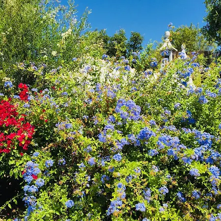 Casa Verdazul Pensionat 4*