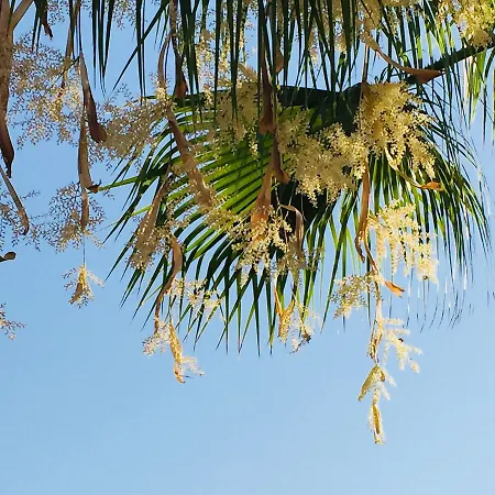 Casa Verdazul Πανσιόν 4*