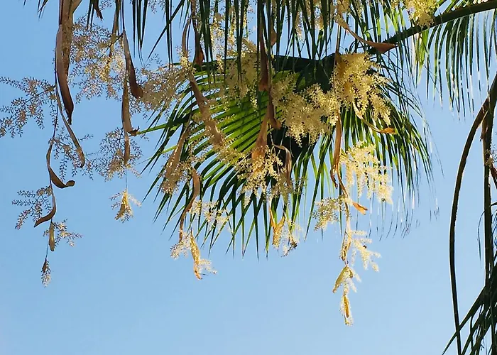 Casa Verdazul 게스트하우스 4*